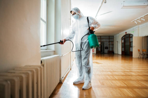 Reliable East Quincy, CA Pest Control Solutions